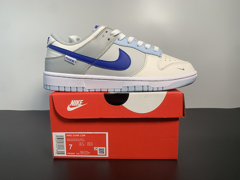 Nike Dunk Low FB1843-141