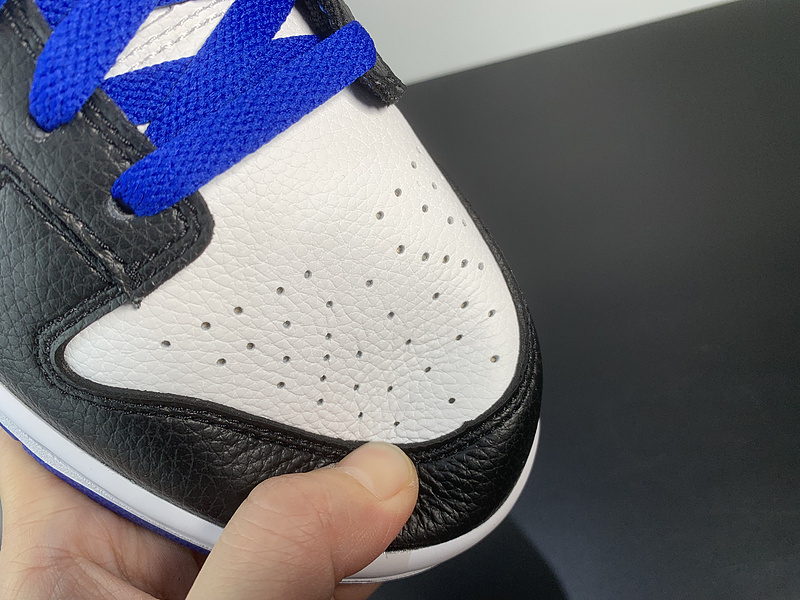 NK Dunk Low FD9064-110