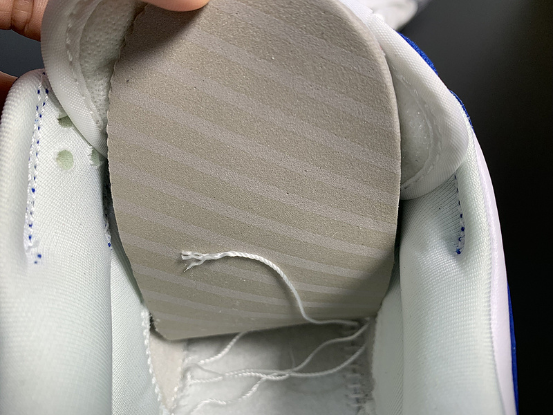 NK Dunk SB Low CU1726-001