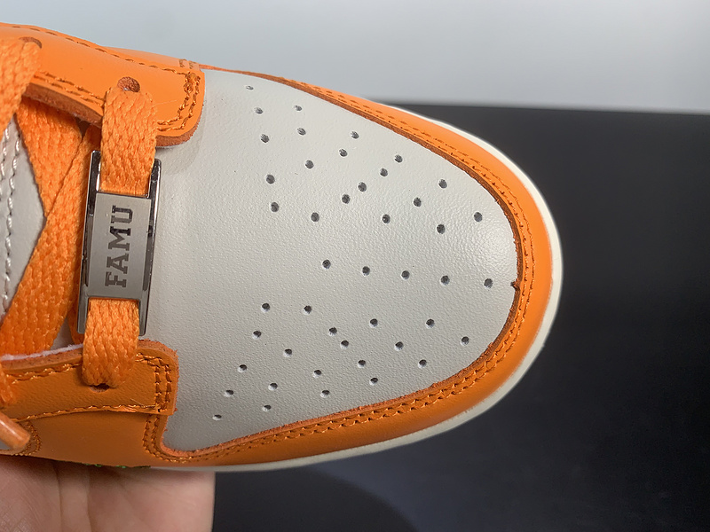 Florida A&M x Nike Dunk Low 6188-800