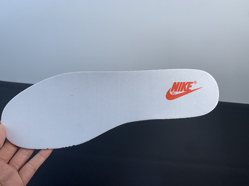 Dunk Low “Golden Orange”DQ4690 800