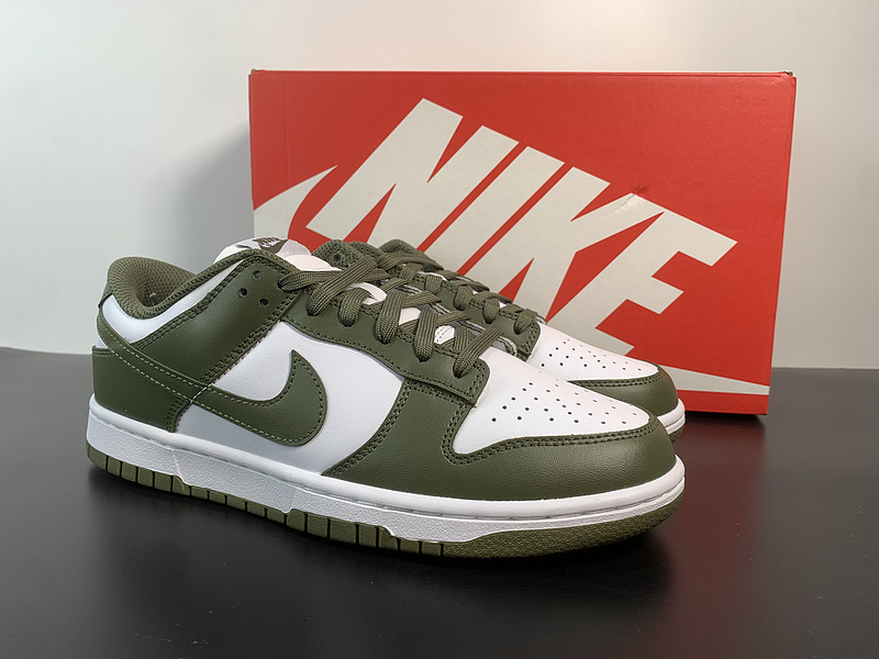 ike Dunk Low 