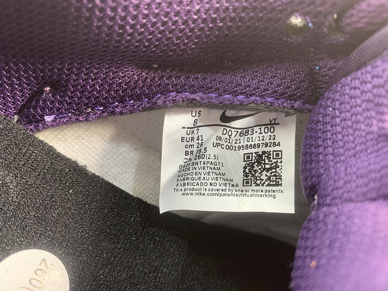 Nike Dunk Low “Chenille Swoosh”DQ7683-100