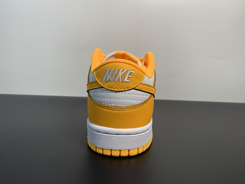 Nike WMNS SB Dunk Low