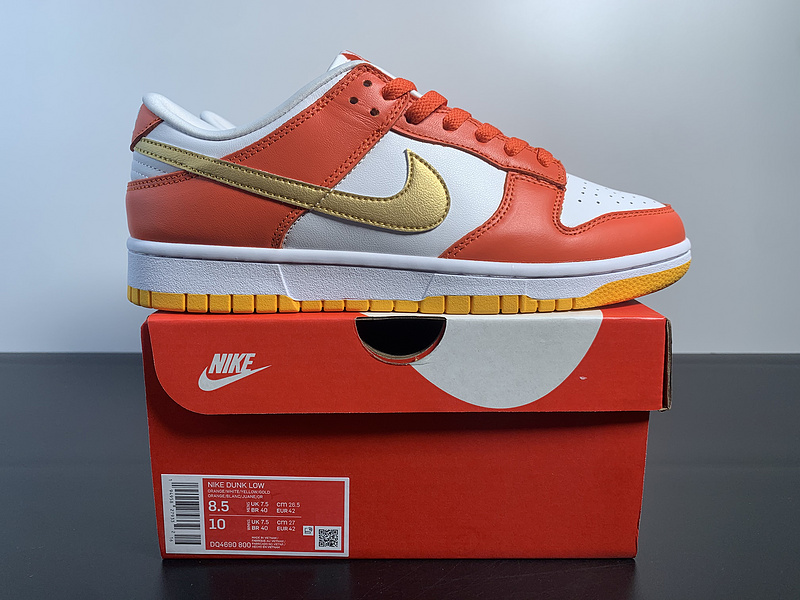 Dunk Low “Golden Orange”DQ4690 800