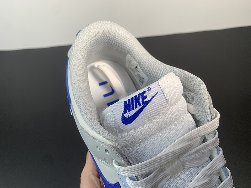 Nike Dunk Low FB1843-141