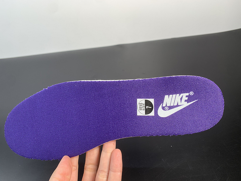 Nike Dunk Retro Court Purple DD1391-104