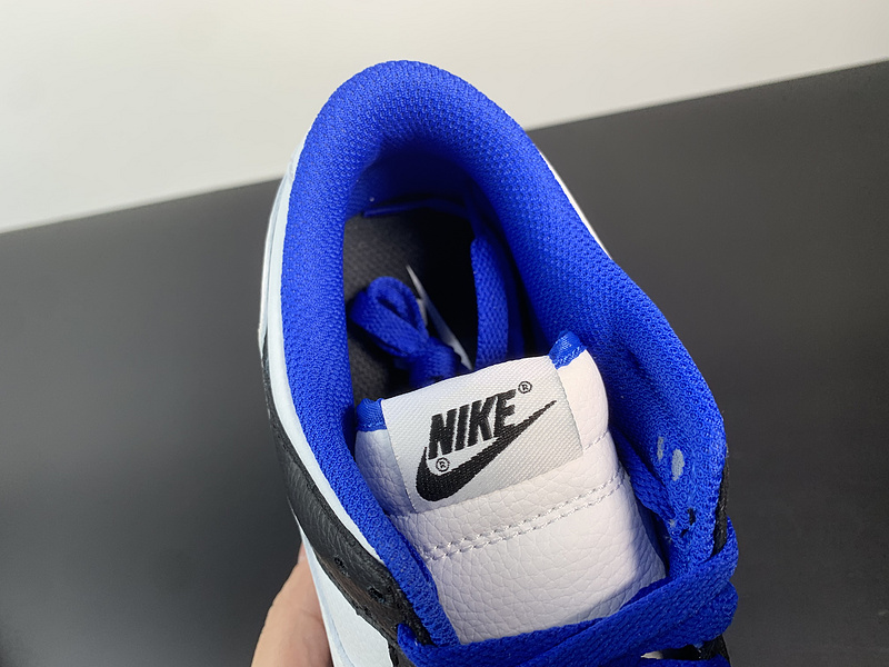 NK Dunk Low FD9064-110