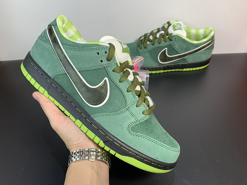 Concepts x NK SB Dunk Low BV1310-337