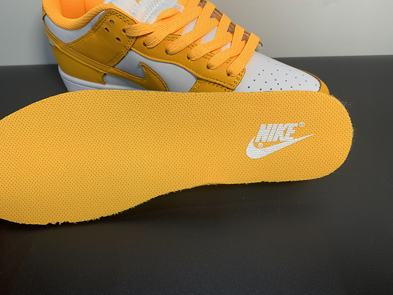 Nike WMNS SB Dunk Low