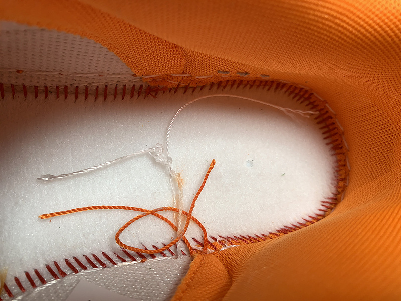 Florida A&M x Nike Dunk Low 6188-800