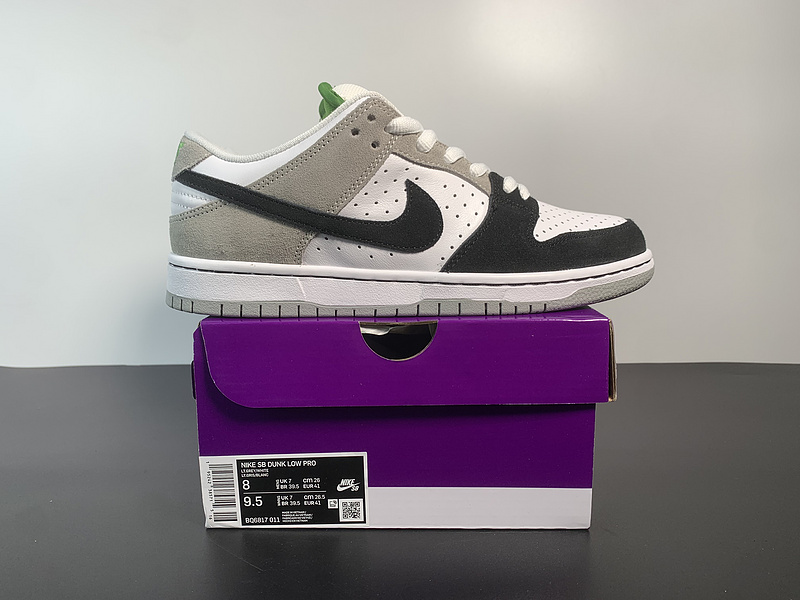 Nike SB Dunk Low  BQ6817-011