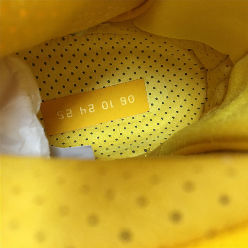 NIKE Air Fear of God 1 FOG AR4237-70