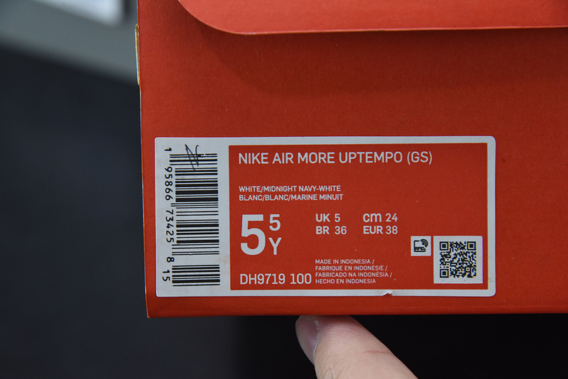 Nike Air More Uptempo DH9719-100