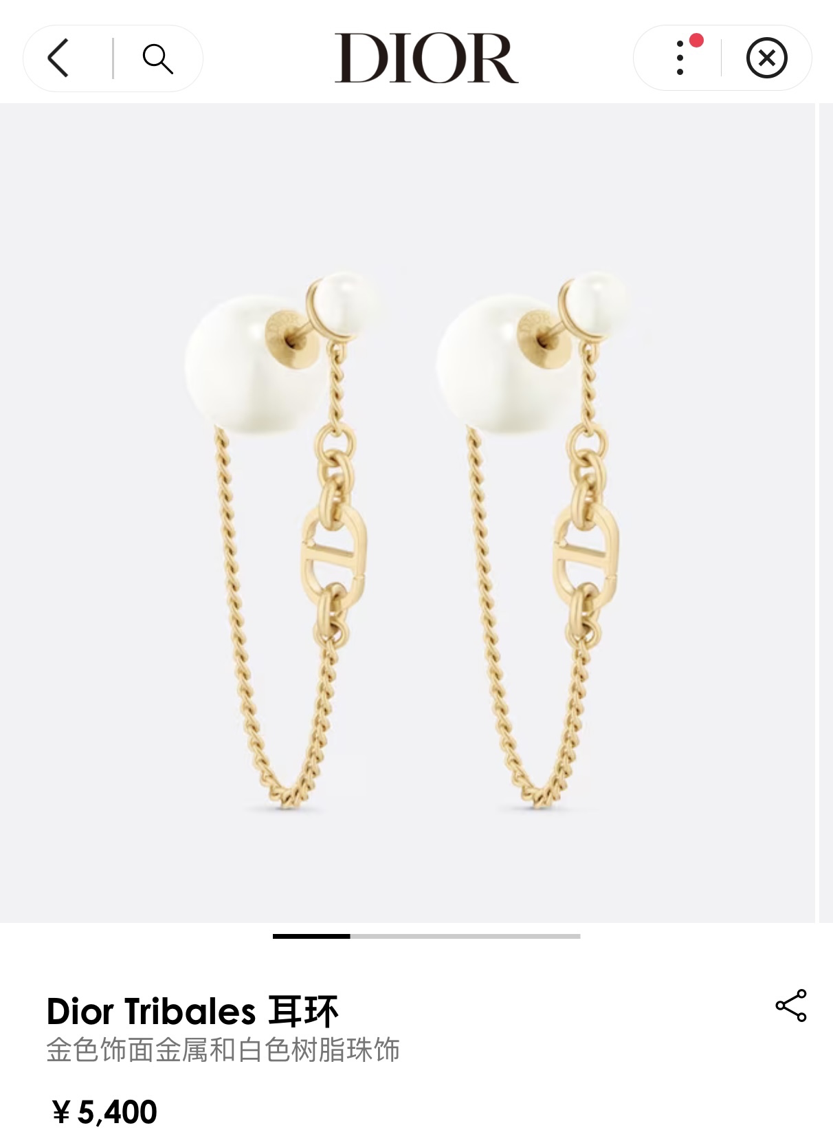 D*or Earring