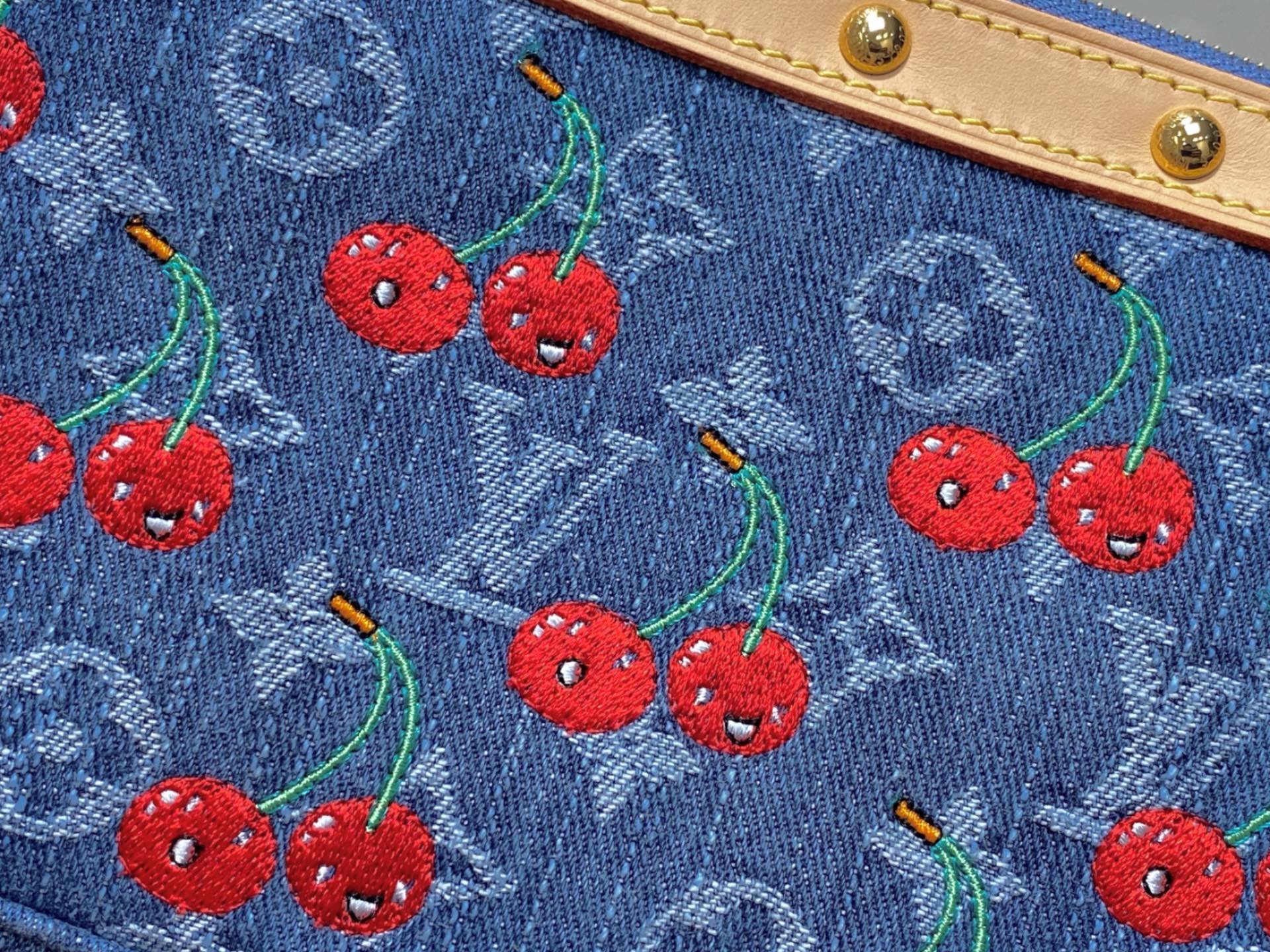 Louis Vuitton Pochette Accessoires (23.5 x 13.5 x 4 CM)