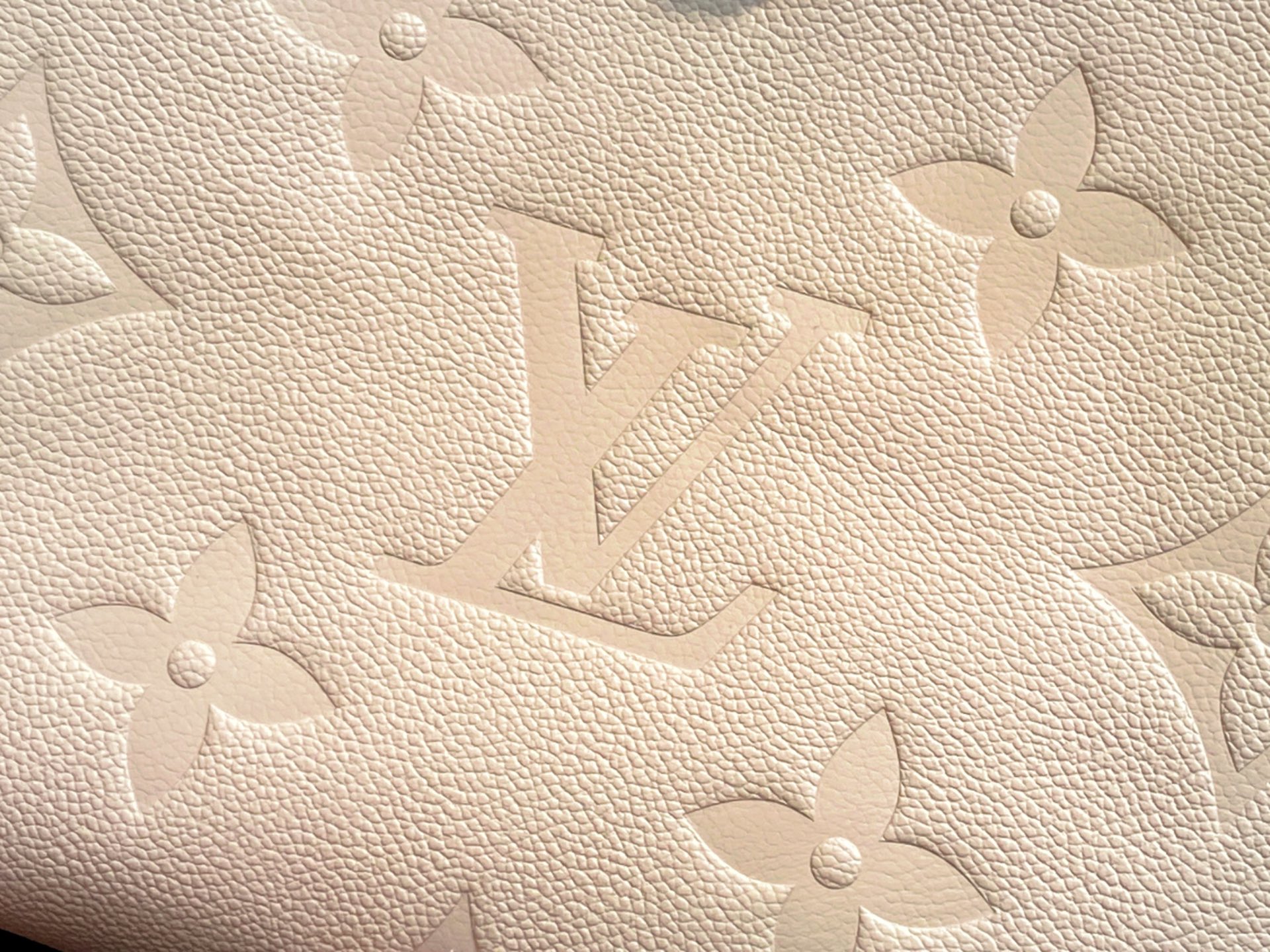 Louis Vuitton CarryAll Bag (29 x 24 x 12 CM)