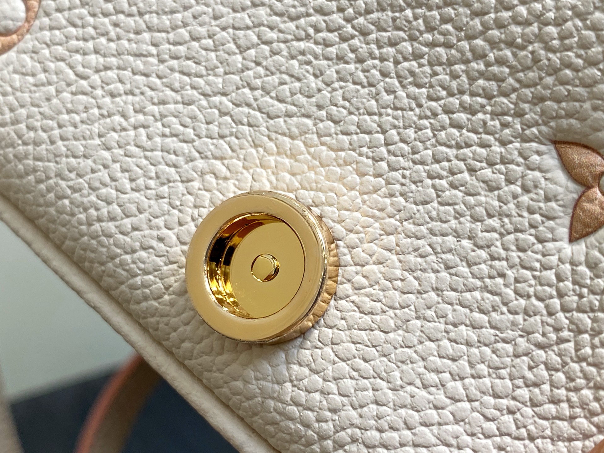 Louis Vuitton Nano Diane Bag (10.5 x 6 x 19CM)