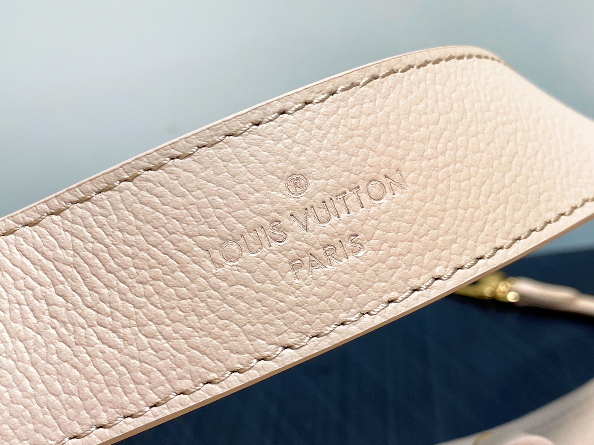 Louis Vuitton CarryAll Bag (29 x 24 x 12 CM)