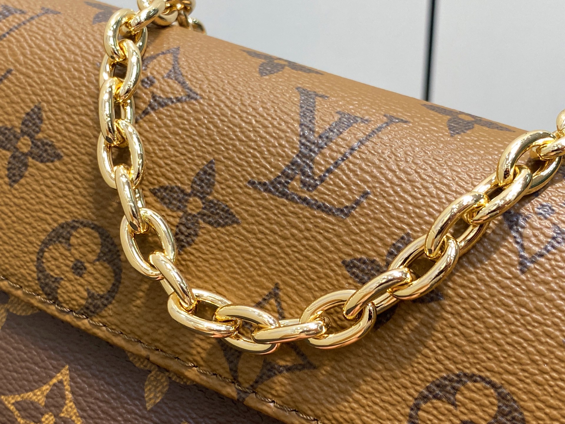 Louis Vuitton Wallet On Chain Ivy Bag (23.5x12x4.3CM)
