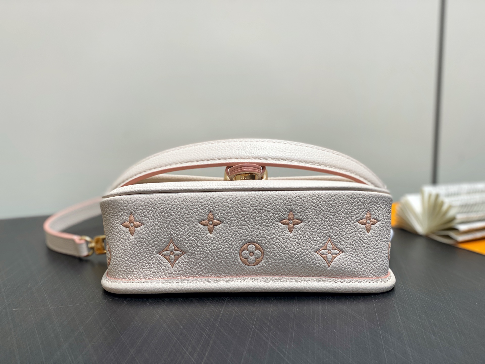 Louis Vuitton Nano Diane Bag (10.5 x 6 x 19CM)