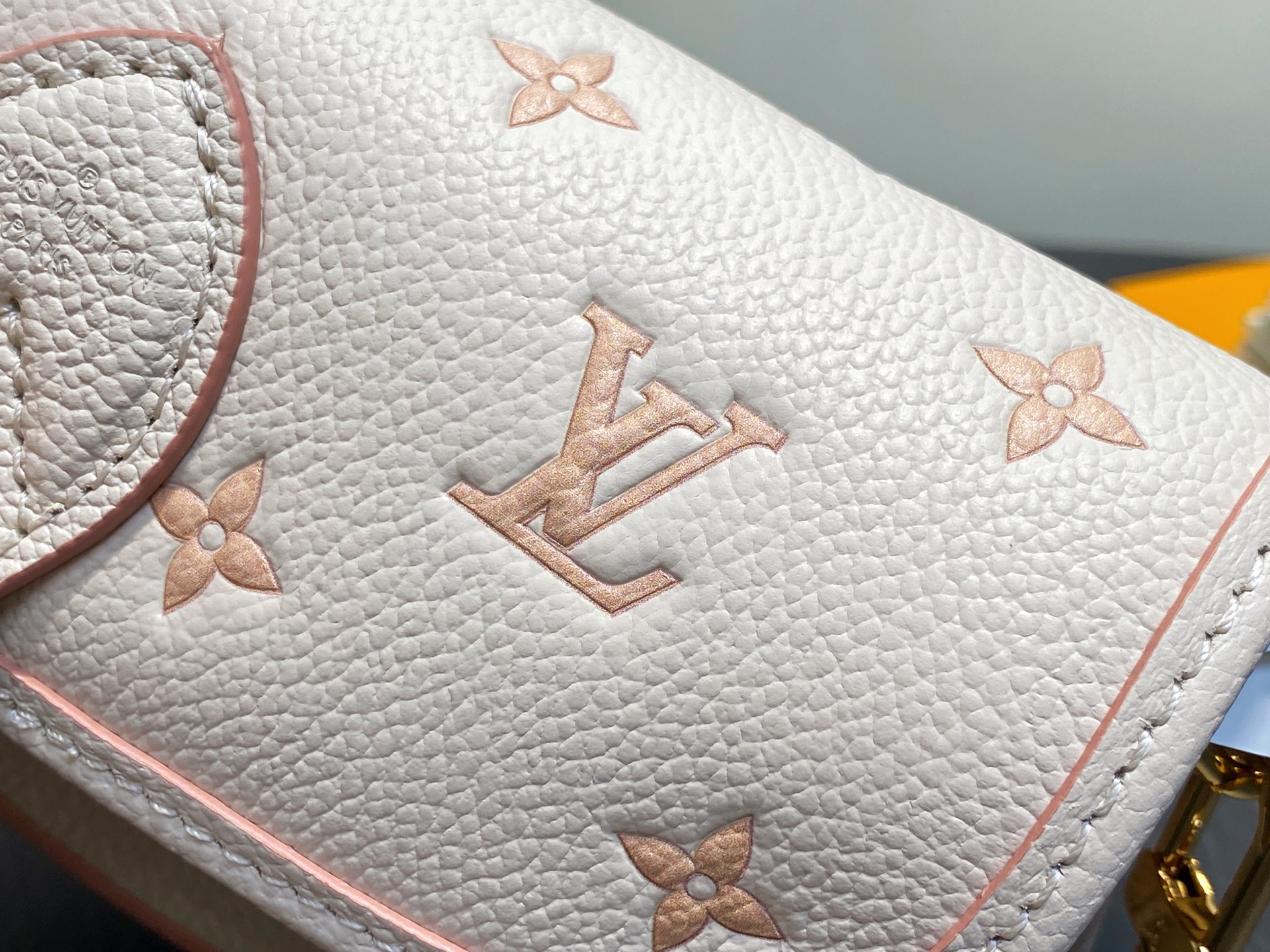 Louis Vuitton Nano Diane Bag (10.5 x 6 x 19CM)