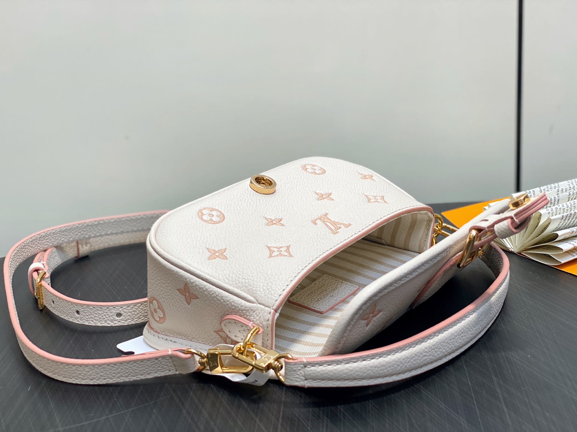 Louis Vuitton Nano Diane Bag (10.5 x 6 x 19CM)