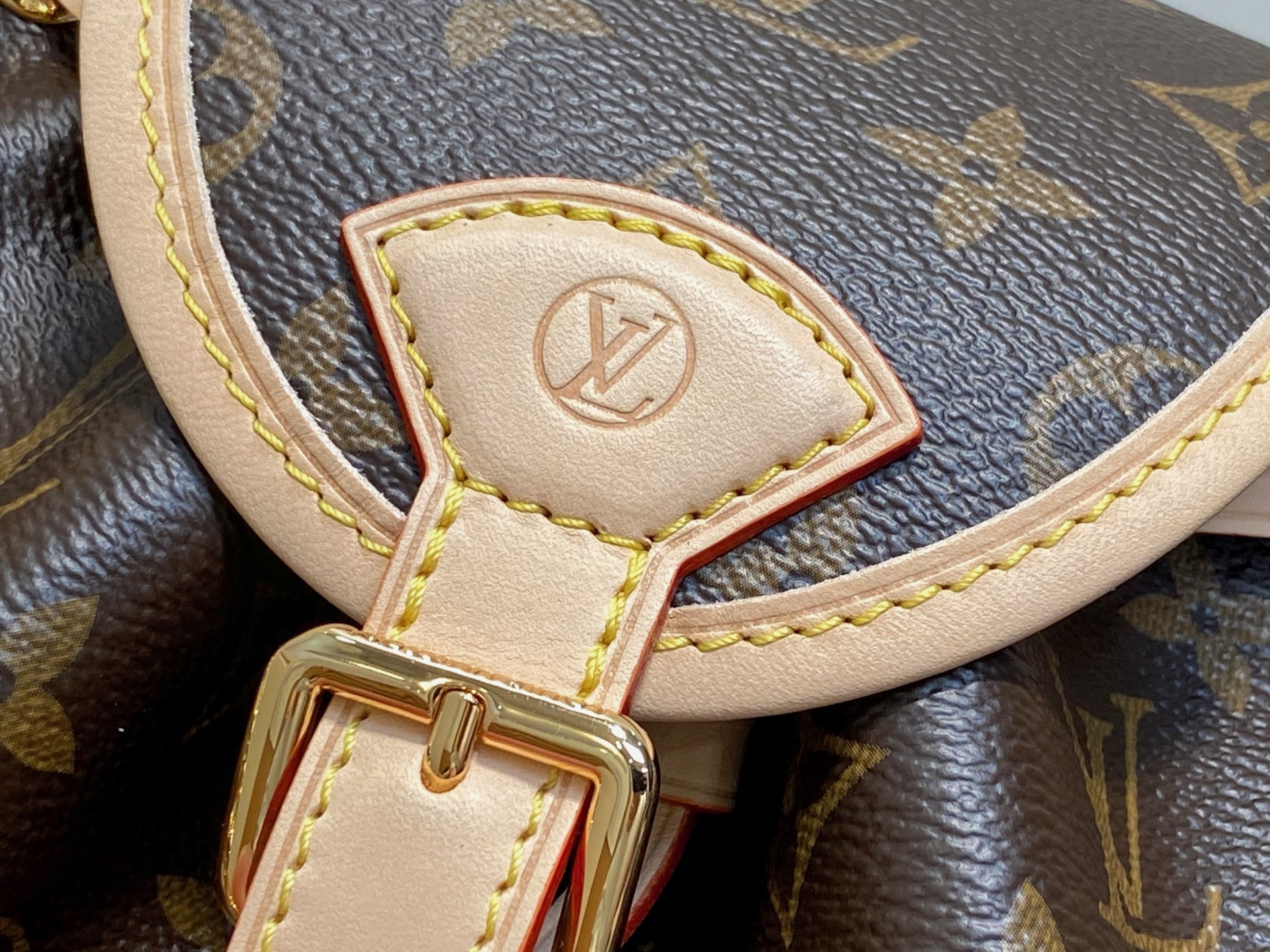 Louis Vuitton Odysée Bag (17 x 12 x 27CM)