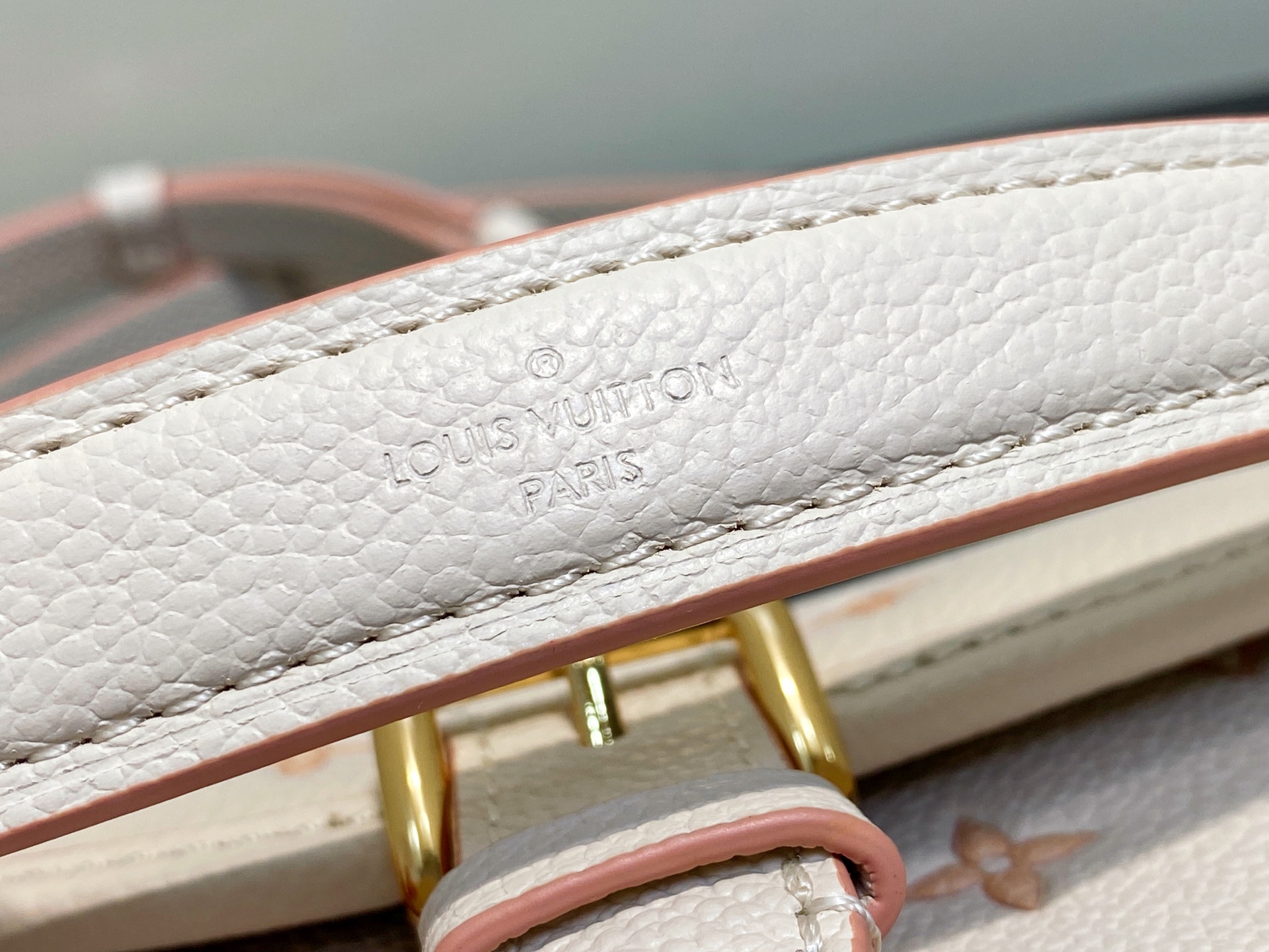 Louis Vuitton Nano Diane Bag (10.5 x 6 x 19CM)