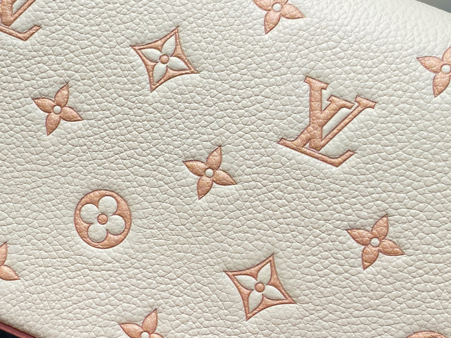 Louis Vuitton Pochette Felicie(21.0 x 11.0 x 2.0 CM)