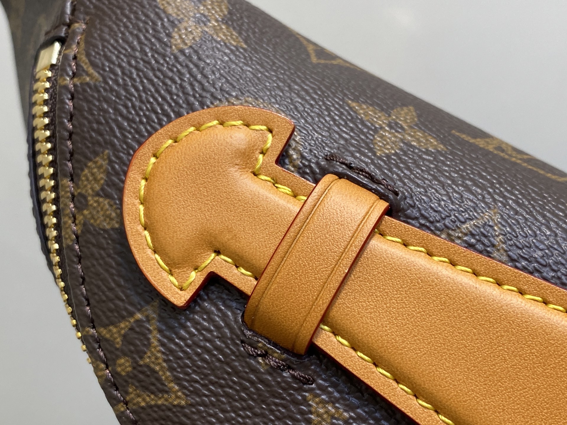 Louis Vuitton Rush Bumbag Bag ( 30 x 15 x 8CM)