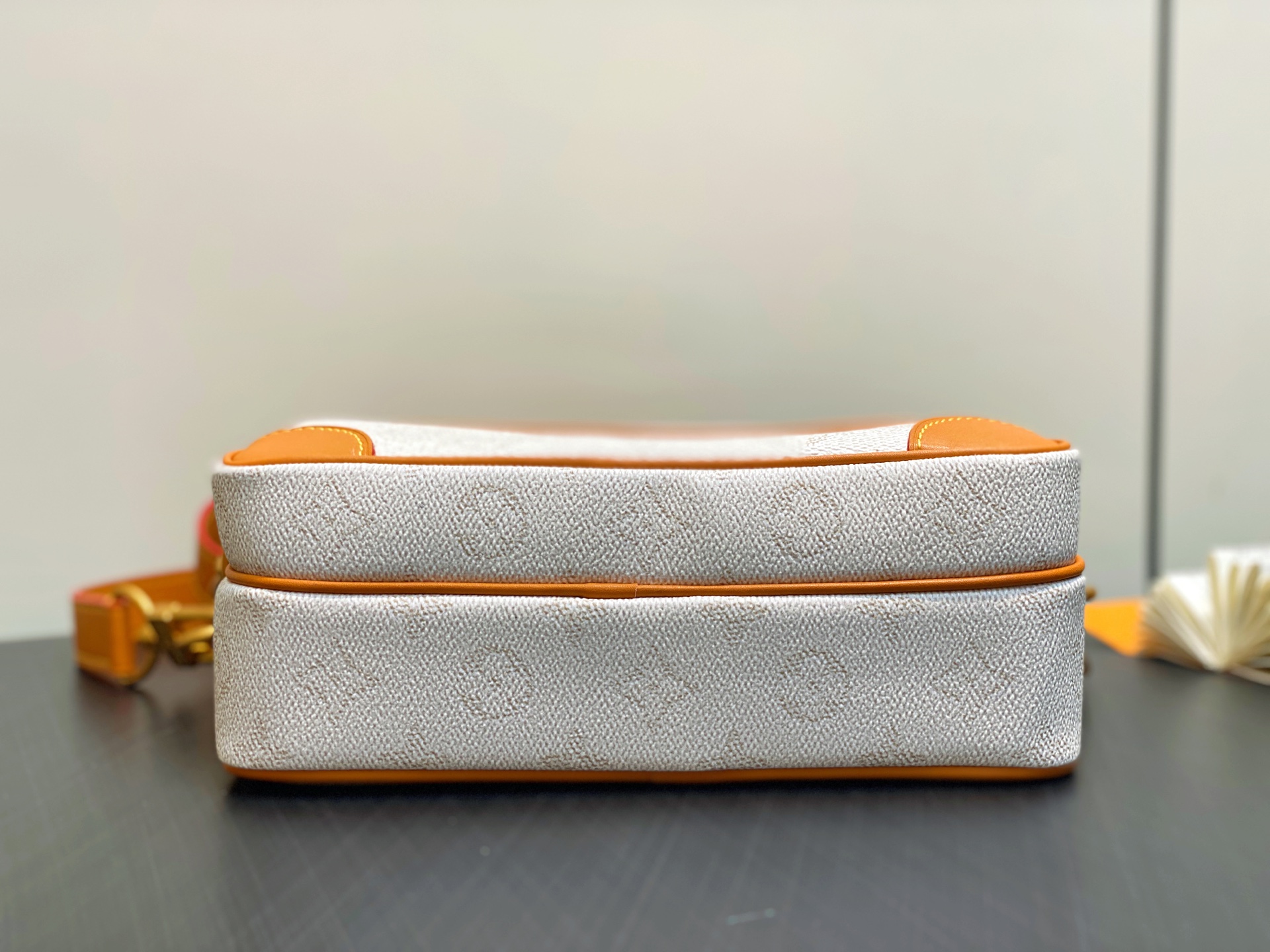 Louis Vuitton Nil Bag(17.5 x 11 x 25CM)