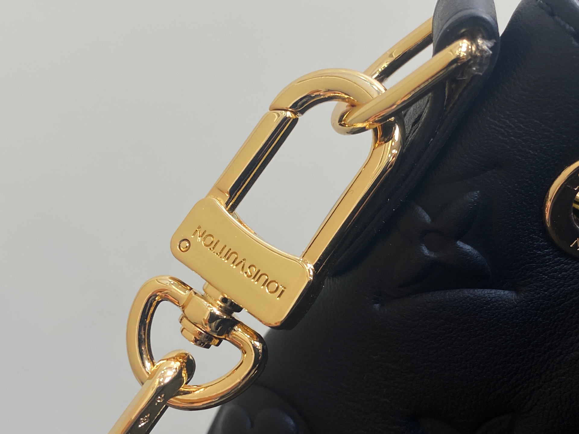 Louis Vuitton Coussin Backpack( 26 x 10 x 21CM)