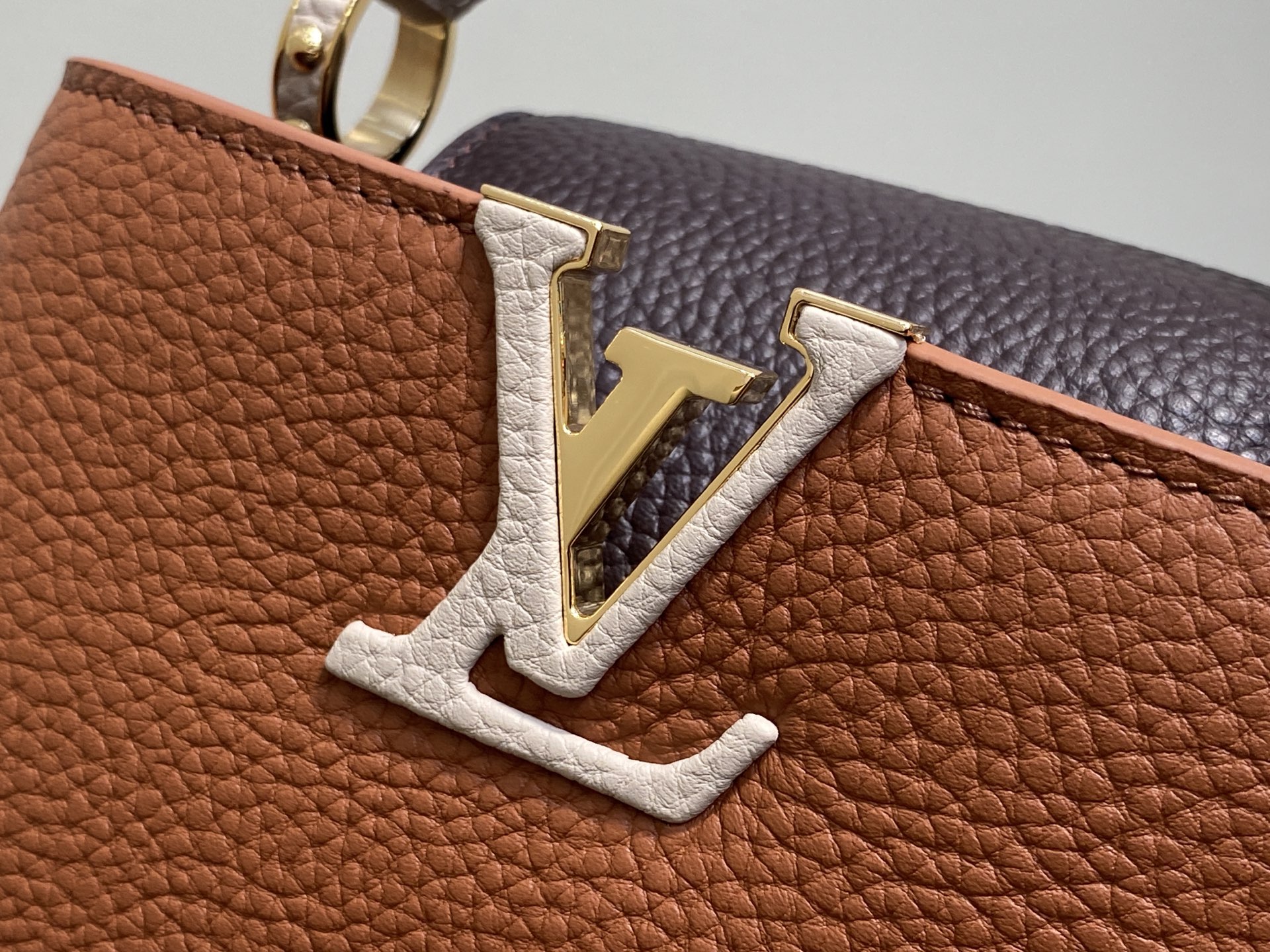 Louis Vuitton Capucines M12176(21×14×8CM)