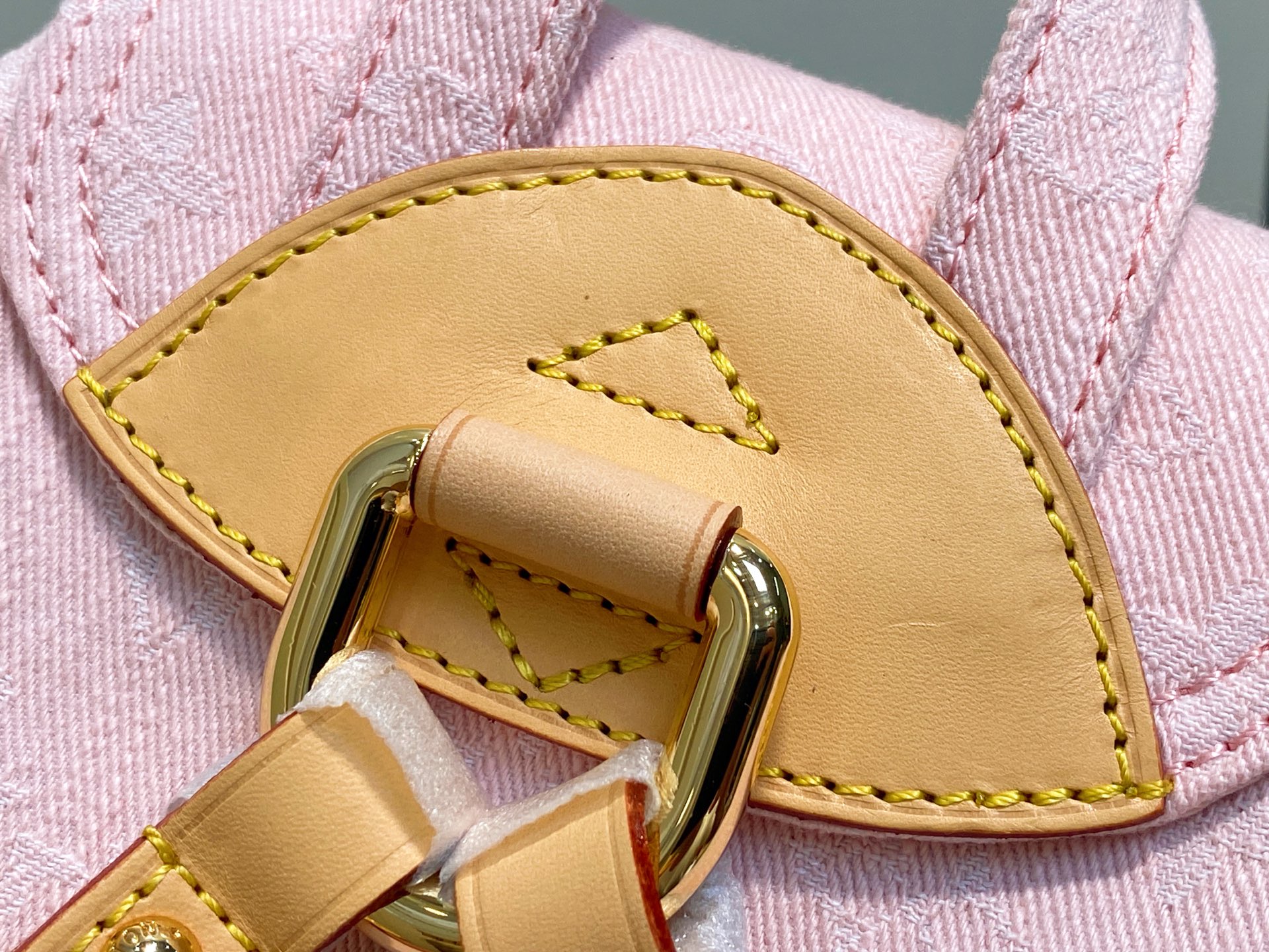 Louis Vuitton Venice Backpack( 26 x 7 x 24CM)