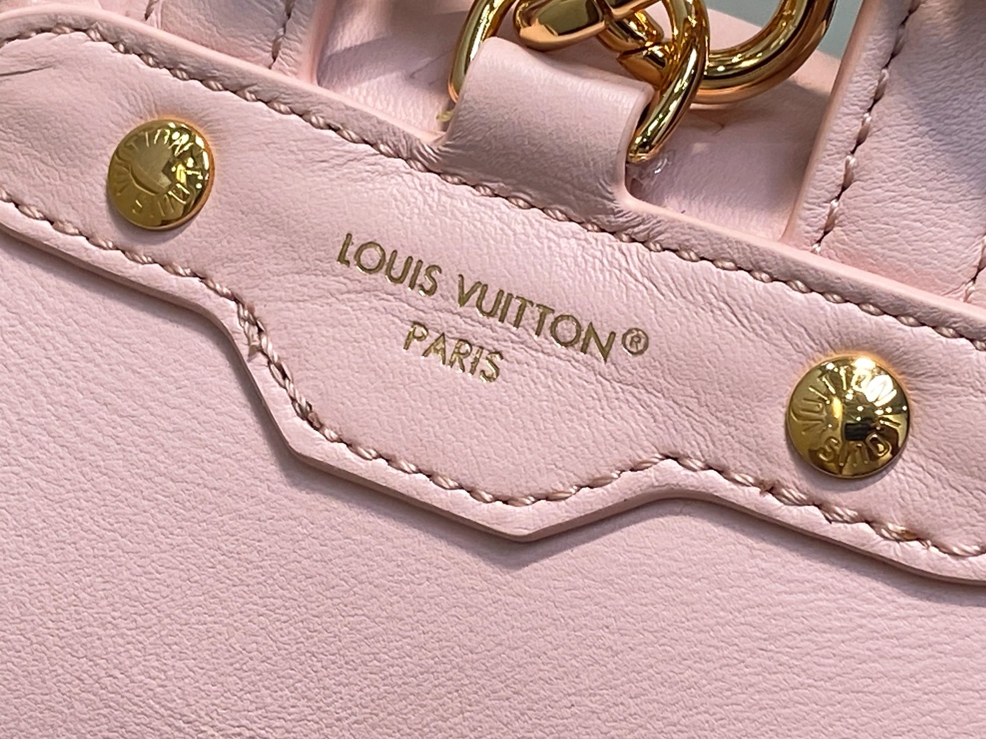 Louis Vuitton Coussin Backpack( 20 x 7.5 x 15CM)