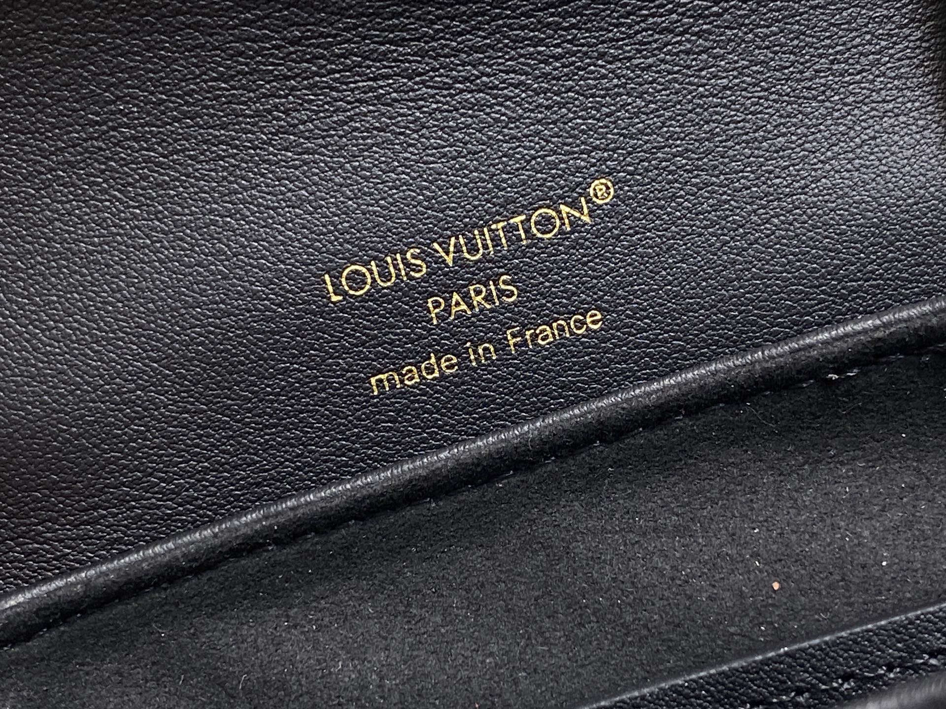 Louis Vuitton Coussin Backpack( 20 x 7.5 x 15CM)
