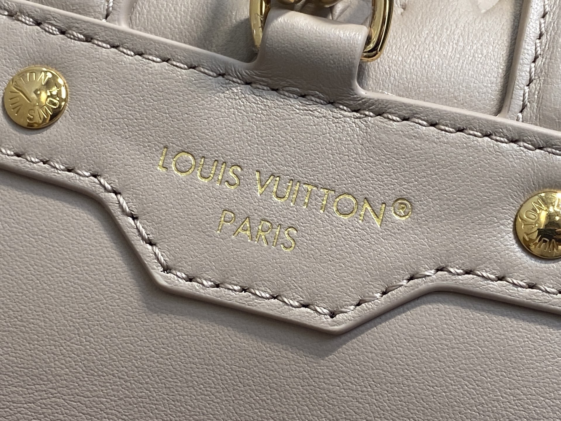 Louis Vuitton Coussin Backpack( 26 x 10 x 21CM)