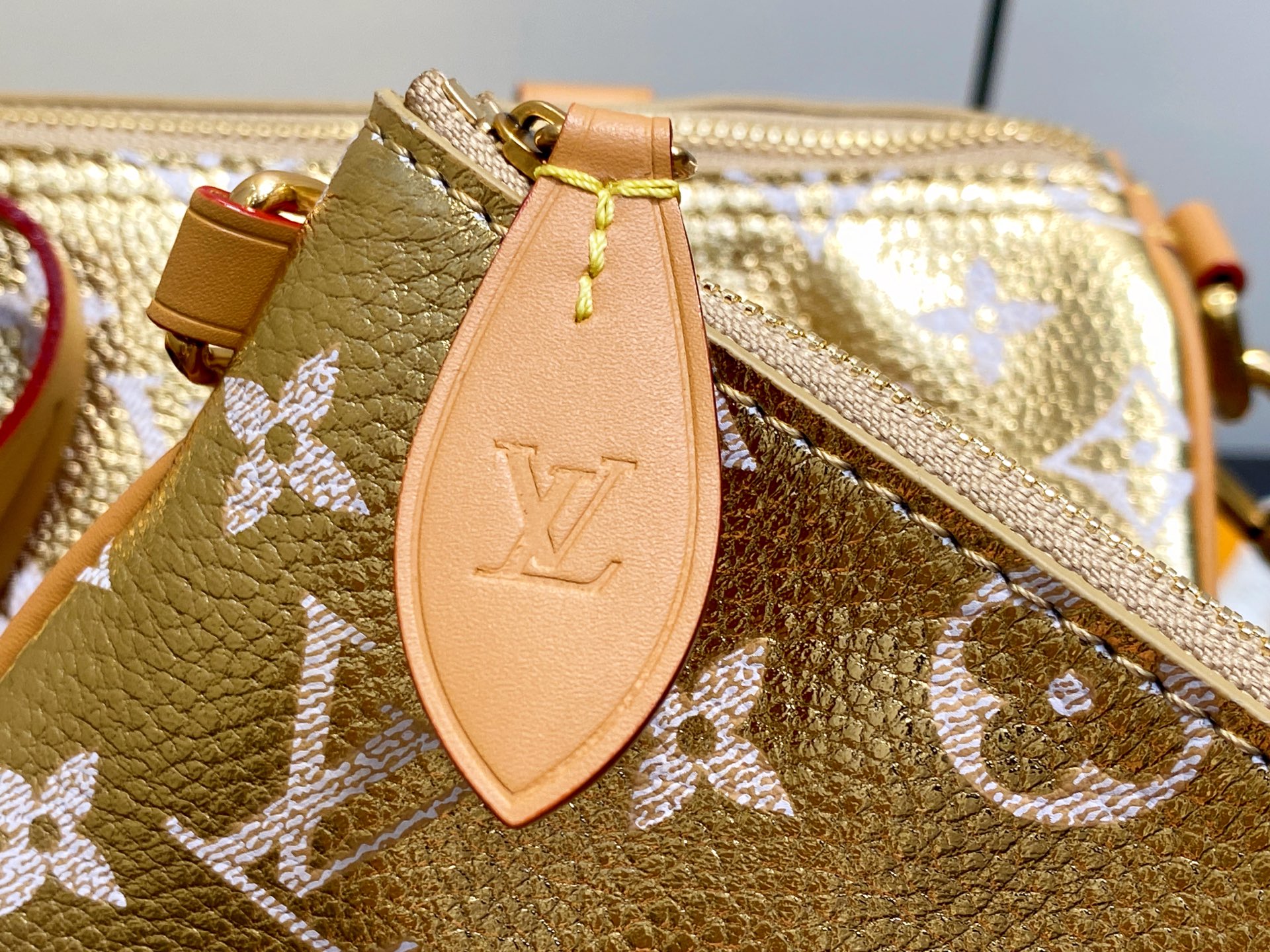 Louis Vuitton Speedy P9 Bandoulière 25(15 x 11 x 25CM)