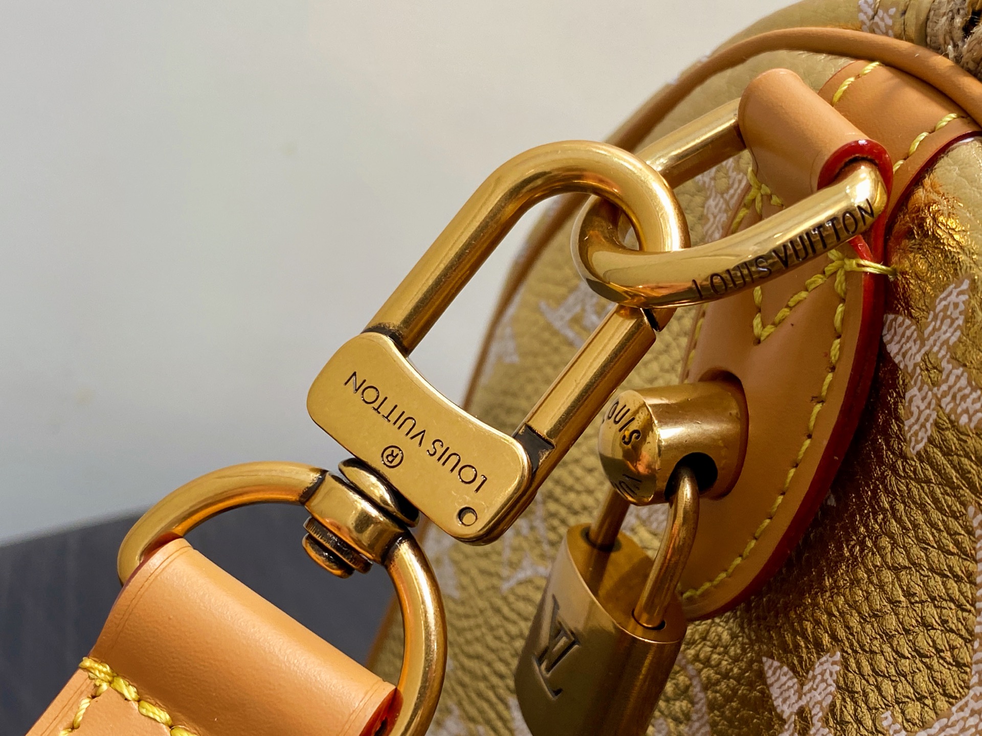 Louis Vuitton Speedy P9 Bandoulière 25(15 x 11 x 25CM)