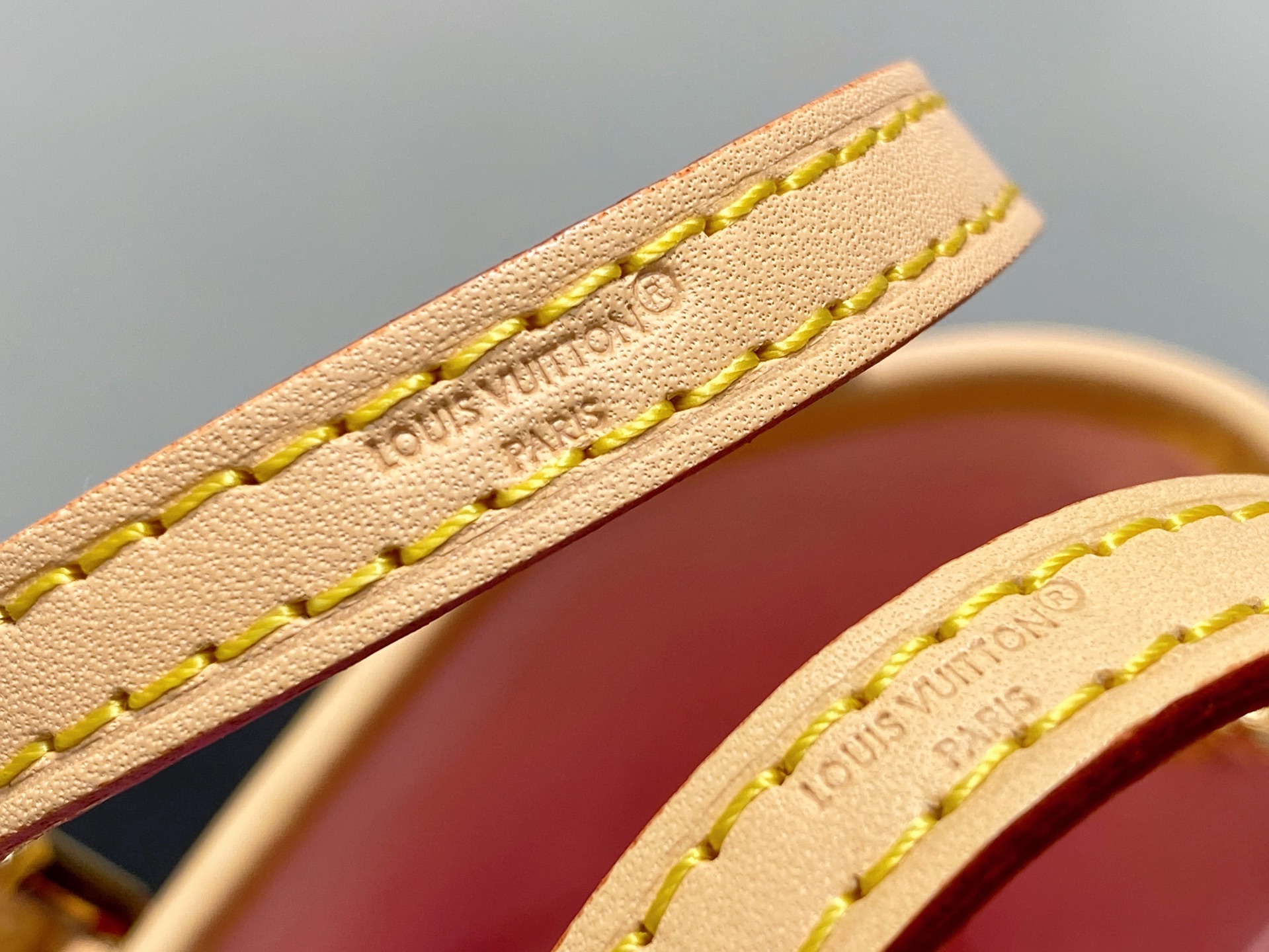 Louis Vuitton XTM Nano Bucket(13x17x9CM)