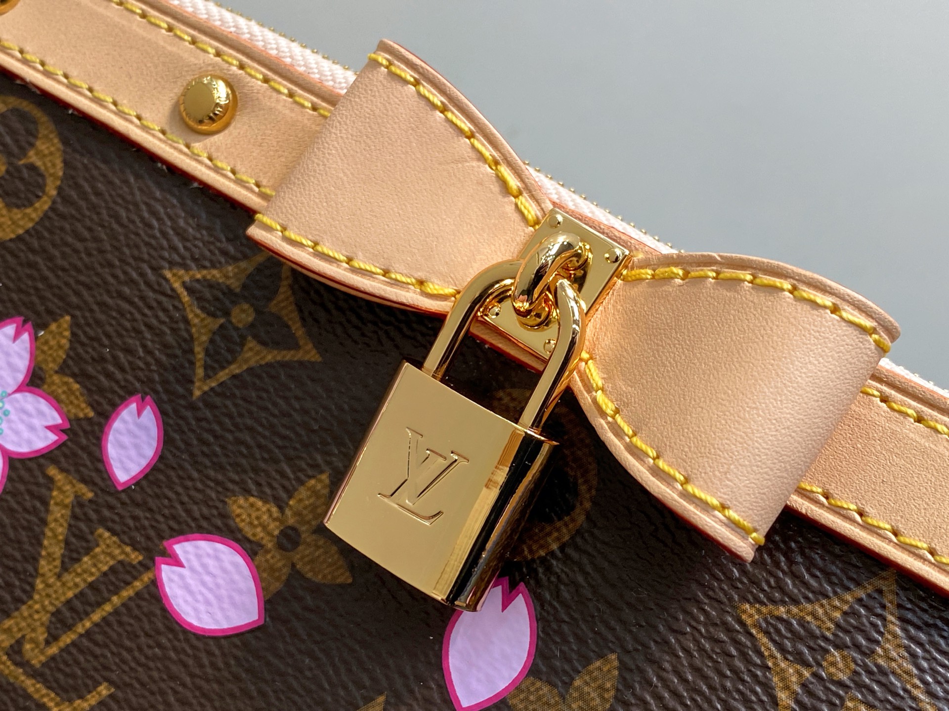 Louis Vuitton Pochette Accessoires Bag(22x13x4CM)
