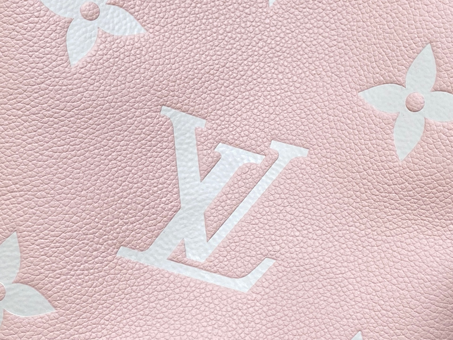 Louis Vuitton All In Bucket(18 x 12 x 16CM)