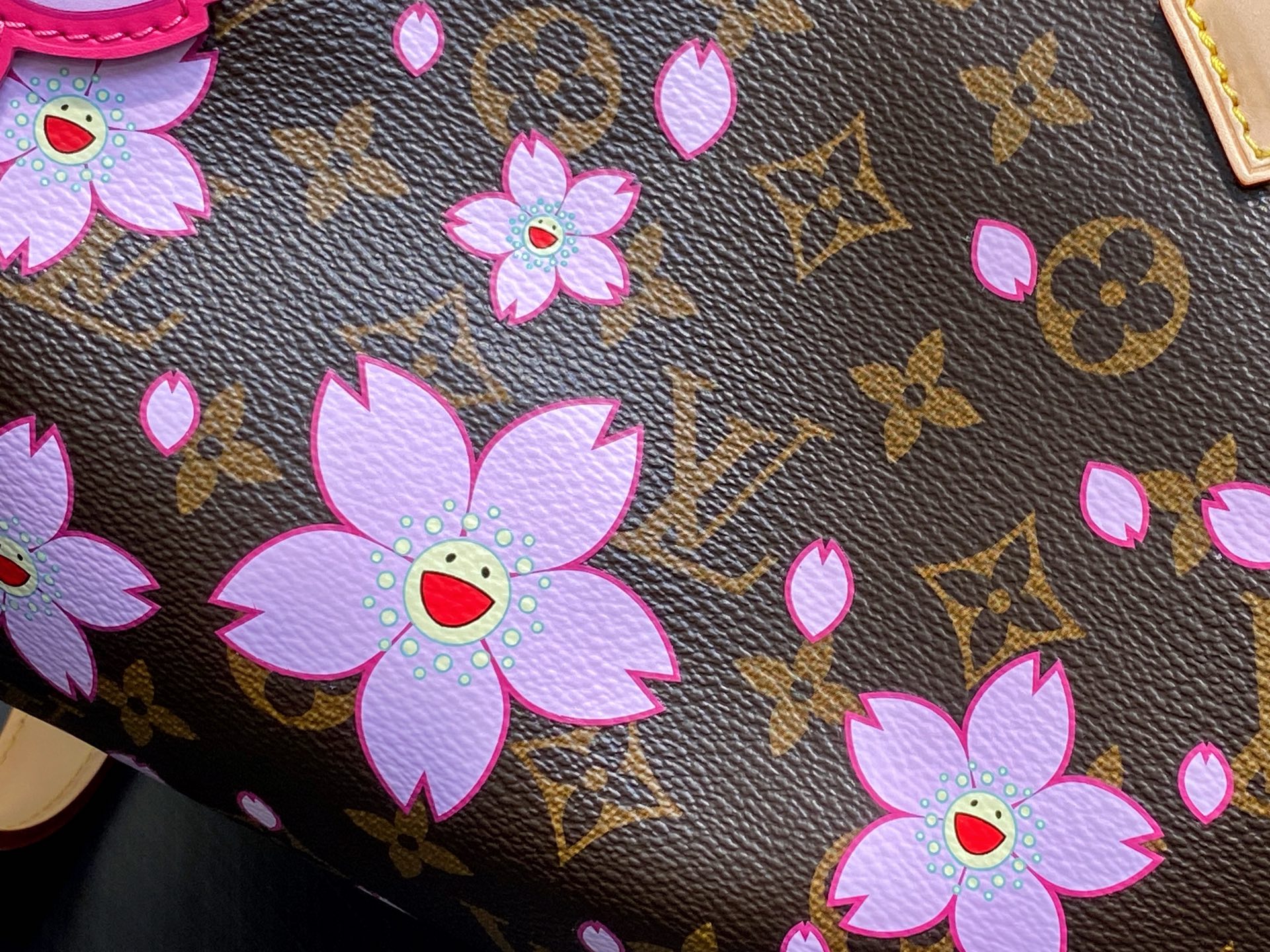 Louis Vuitton x TM Speedy Bandoulière 25(15 x 11 x 25CM)