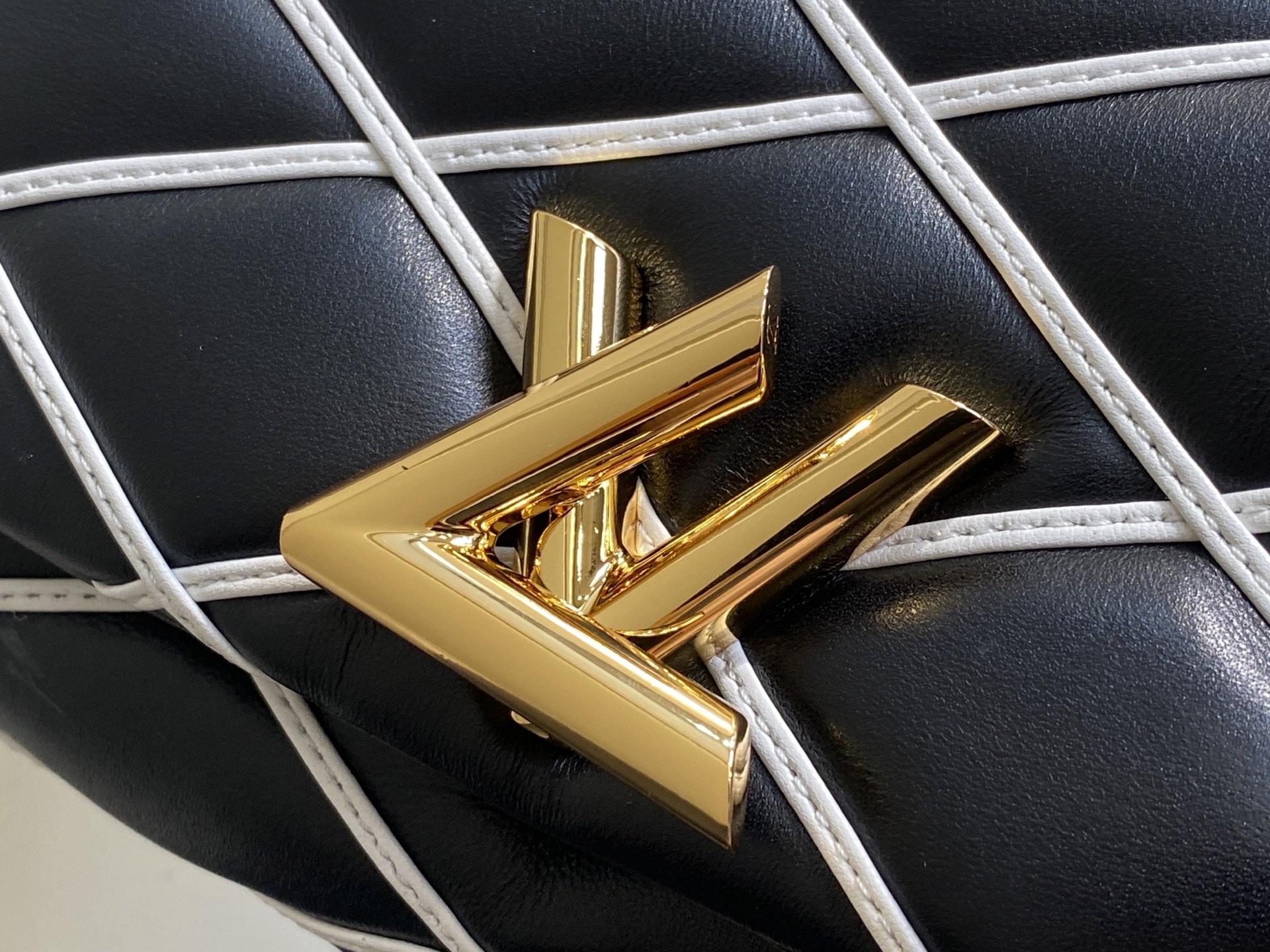 Louis Vuitton Twist GO-14 Bag (20 x 14 x 9CM)