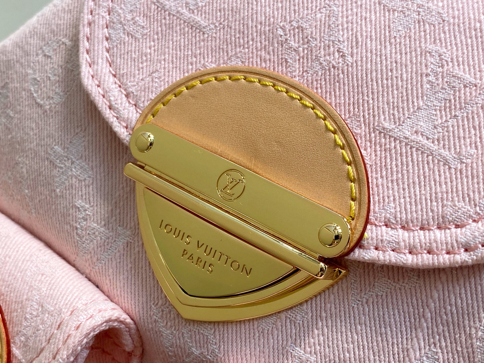 Louis Vuitton Venice Backpack( 26 x 7 x 24CM)