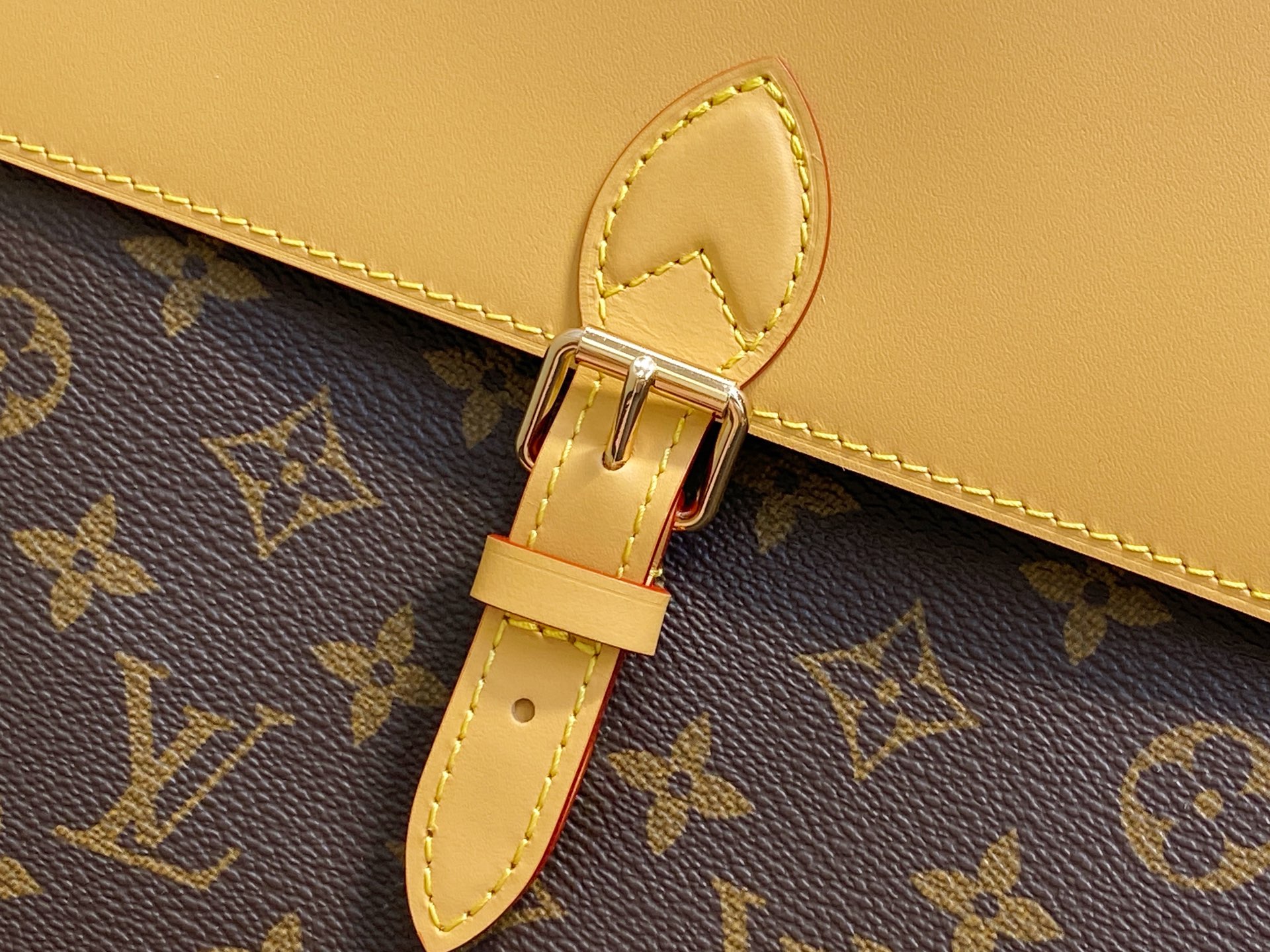 Louis Vuitton Soho Backpack( 24 x 32 x 9CM)