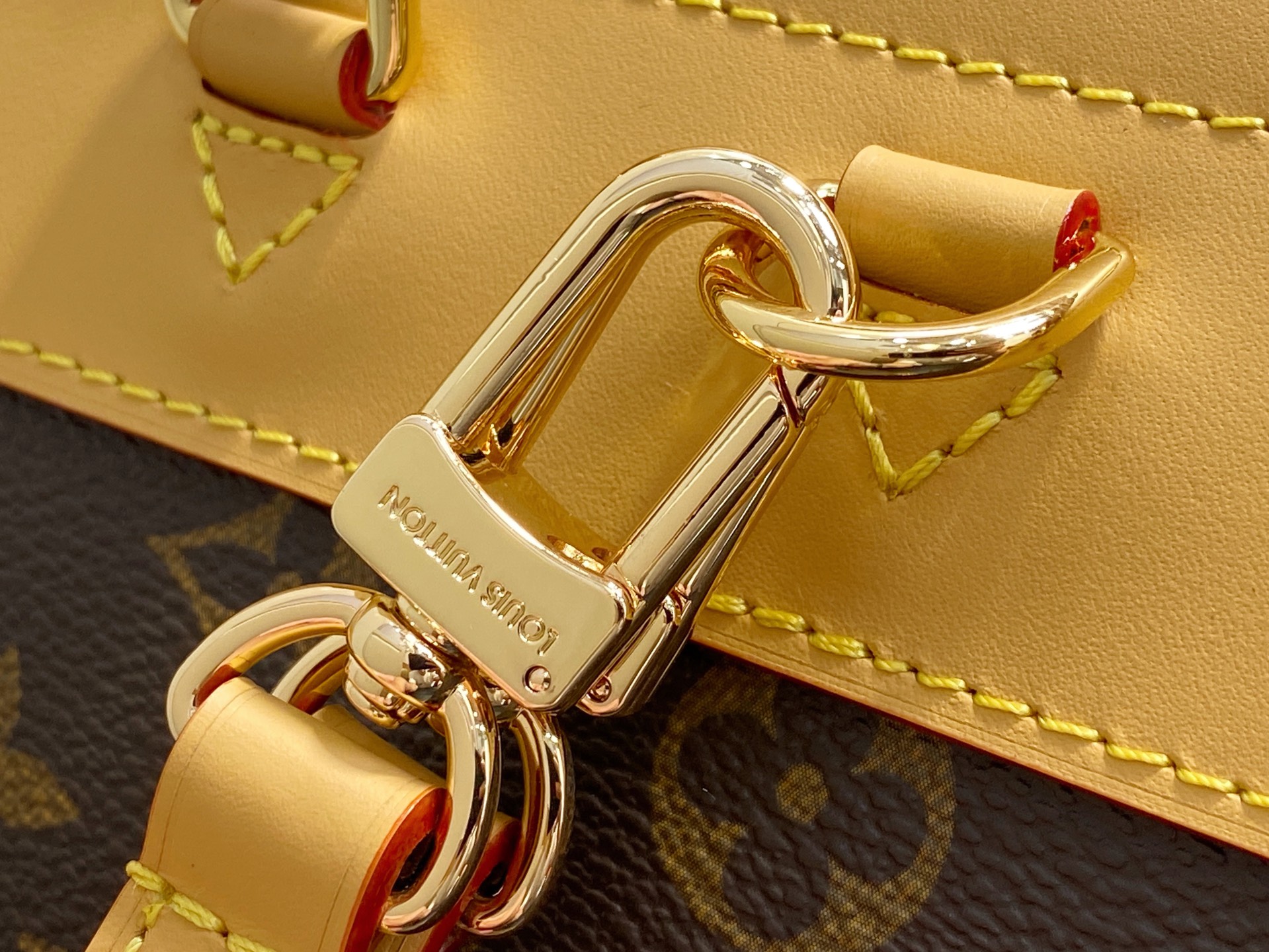 Louis Vuitton Soho Backpack( 24 x 32 x 9CM)