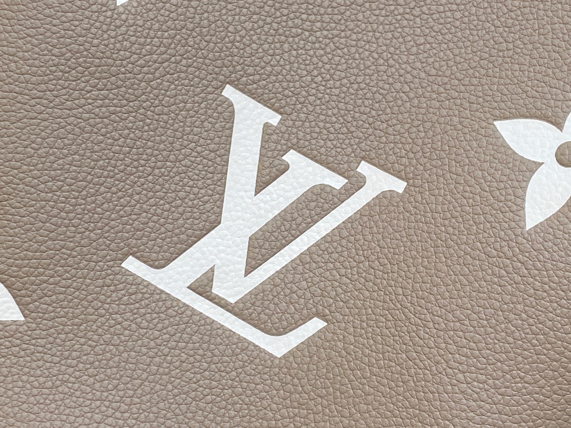 Louis Vuitton All In Bucket(18 x 12 x 16CM)