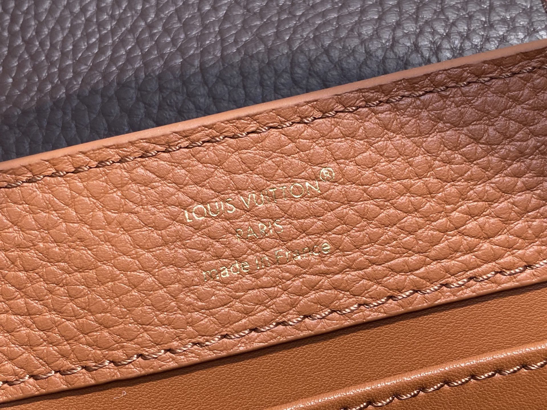 Louis Vuitton Capucines M12176(21×14×8CM)